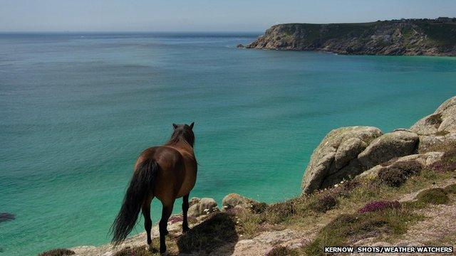 A horse looking out to blue seas