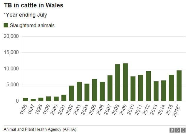 Graphic showing slaughtered animals