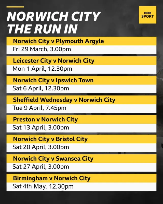 Norwich City's last eight fixtures of the season