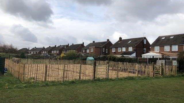 Tiny forest planted at Saltersgate Infant School