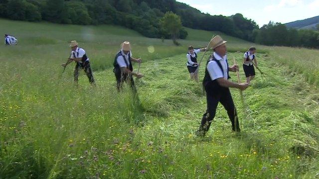 Scything