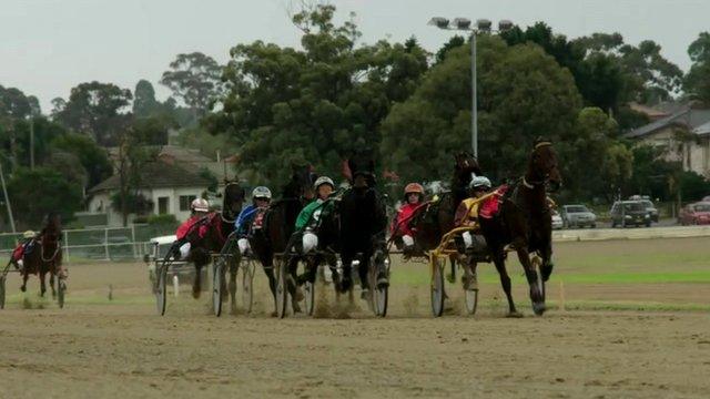 Horse-racing