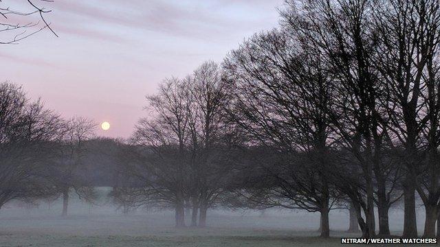 Fog in a park. The moon shines brightly above