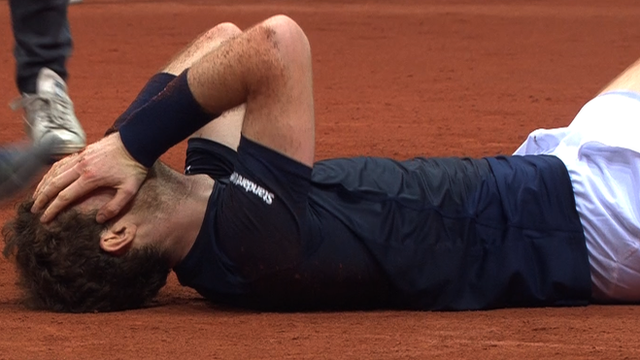 Andy Murray celebrates as Great Britain win the Davis Cup