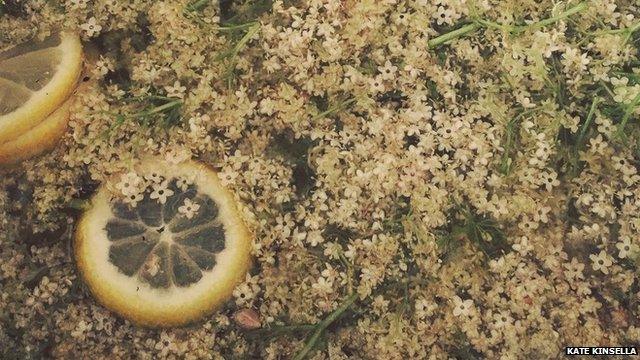 elderflower in a pan with lemons