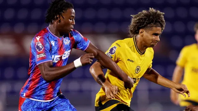 Wolves and Crystal Palace players challenge for the ball