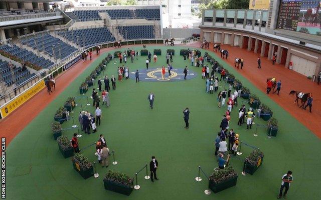 Parade ring