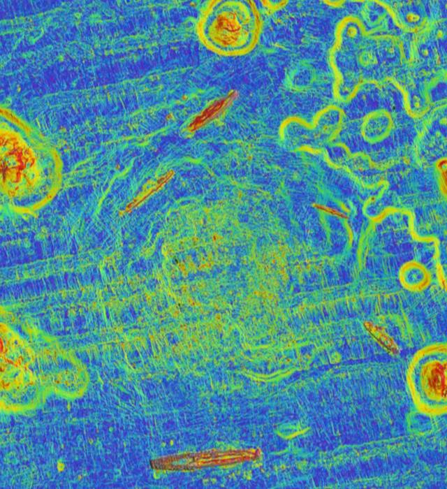 Slope map of the Operation Crossroads test site focused on the Baker crater