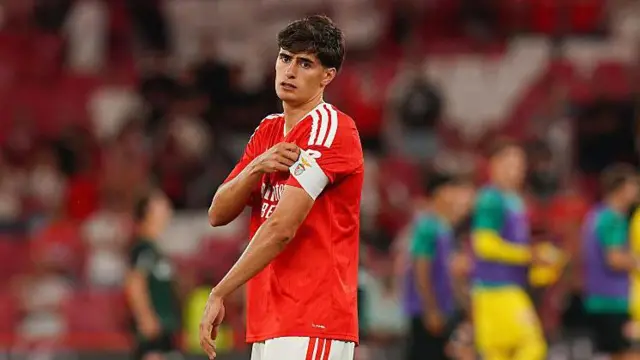 Benfica defender Antonio Silva