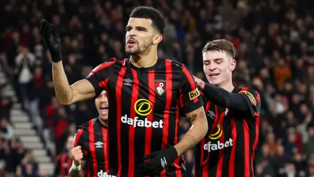 Dominic Solanke celebrates