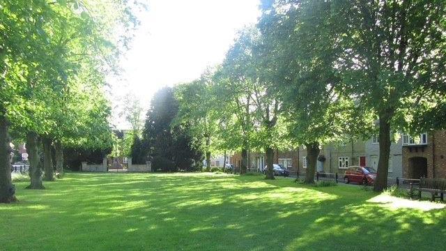 A green park lined by trees. On the other side of the trees is a row of houses