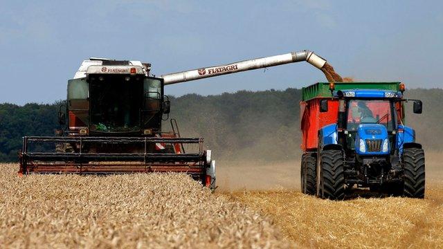 A combine harvester collecting crops