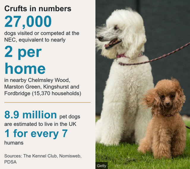 Datapic showing the ratio of dogs to homes in the area near the NEC