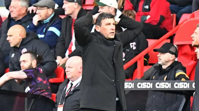 Hull City head coach Sergej Jakirovic with his head in his hands on the touchline at Bramall Lane