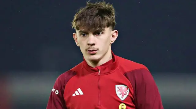 Harlan Perry on Wales duty last November 