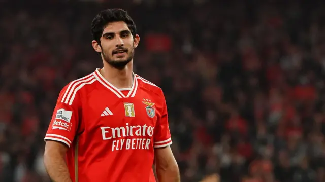 Goncalo Guedes in action for Benfica