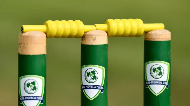 A detail view of the bails and stumps