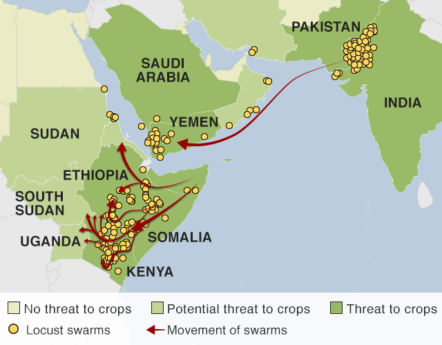 Locust invasion in East Africa