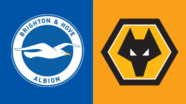 Brighton v Wolves club badges graphic