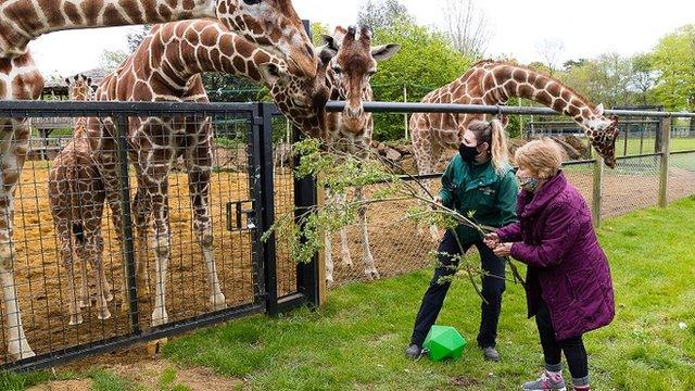 Margaret Keenan feeding her giraffe namesake