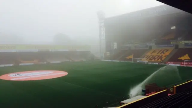 A foggy Fir Park