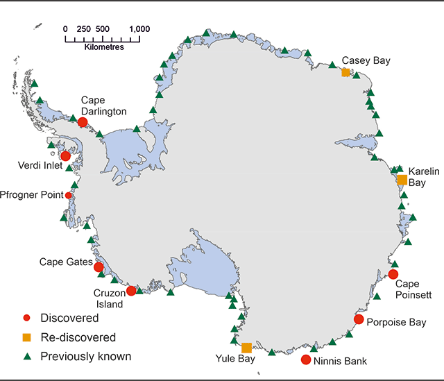 Infographic