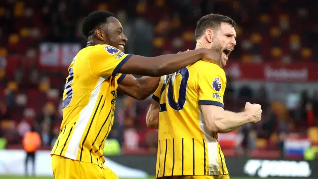 Danny Welbeck and James Milner celebrating for Brighton