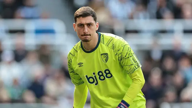 Bournemouth goalkeeper Djordje Petrovic