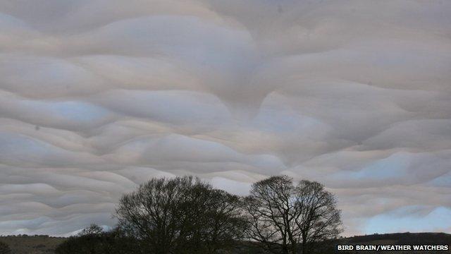 A country scene with three trees within the foreground and several wave-like clouds covering the sky