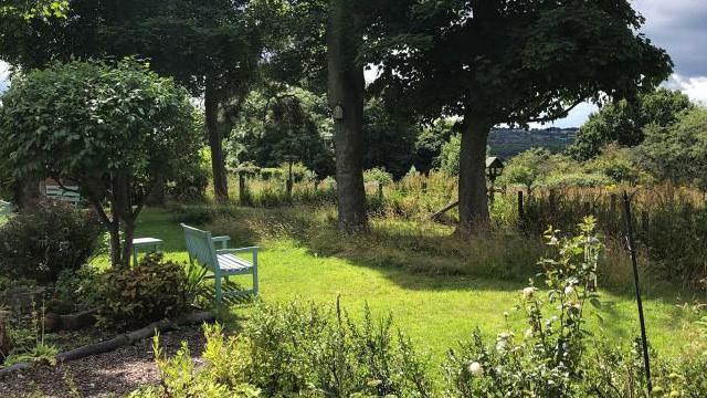 The hospice grounds. There's a greenish-blue bench sitting in a patch of grass. Trees and plants surround the grass.