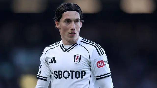 Harry Wilson in action for Fulham