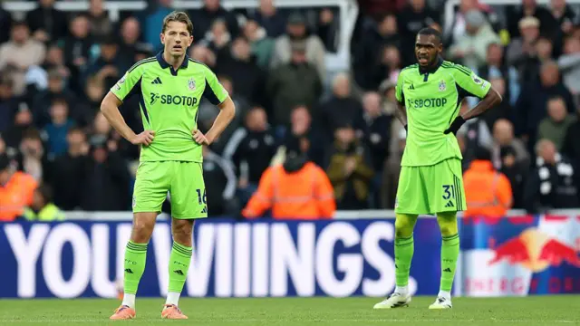 Fulham players after conceding against Newcastle 