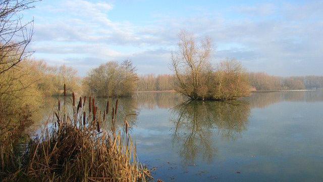 A wide lake surrounded by autumnal foliage on a day with clear blue skies