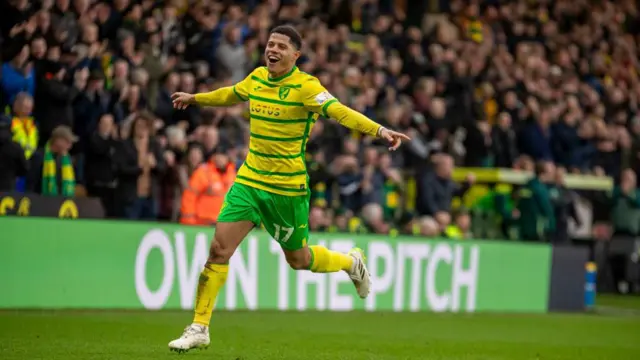 Norwich midfielder Gabriel Sara