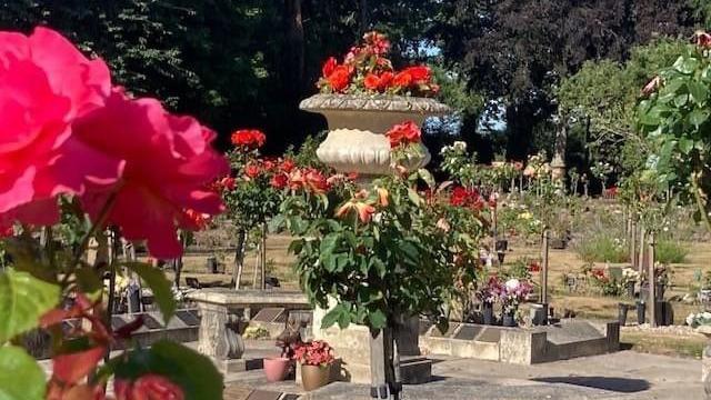 St faiths crematorium - stone benches and memorials surrounded by red and orange roses