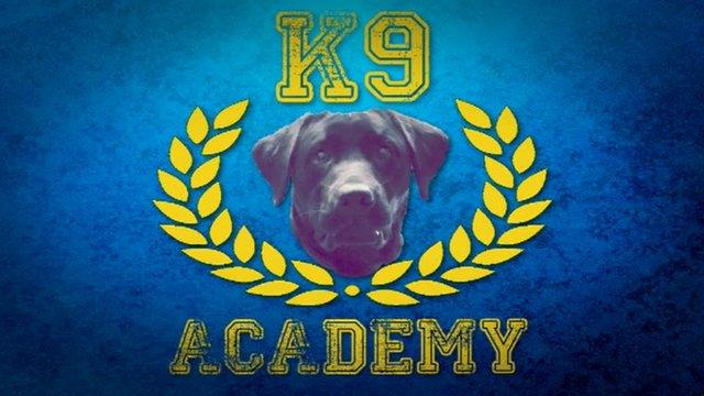 K9 Academy