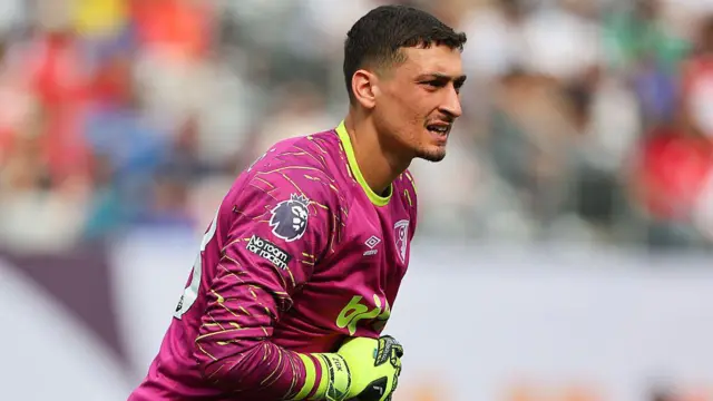 Djordje Petrovic 
