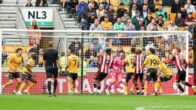 Wolves v Brentford