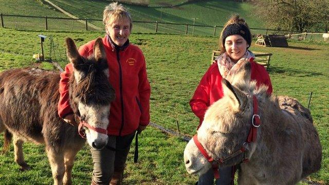 Picture of Julie with her donkeys