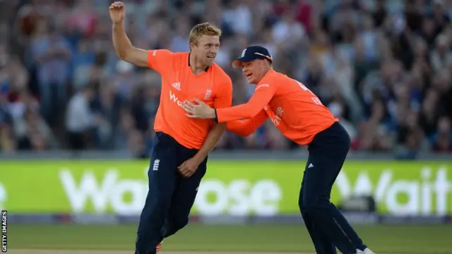 David Willey celebrates