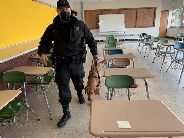 dogs in school