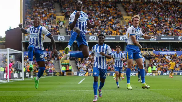 Brighton players celebrating against Wolves