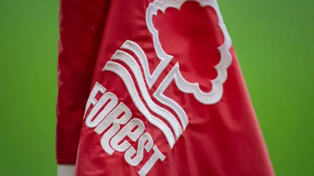 Nottingham Forest logo on a flag