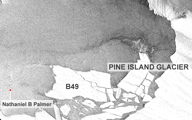 Position of the Palmer