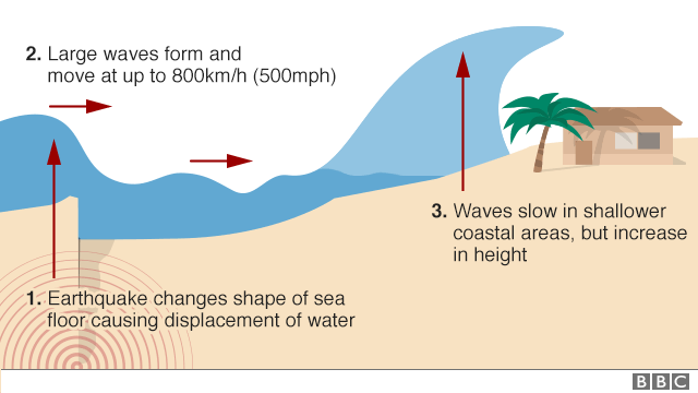 Graphic explaining how earthquakes change shape of sea floor and this displaces water leading to tsunami