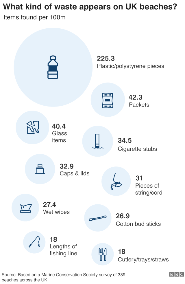 beach waste infographic