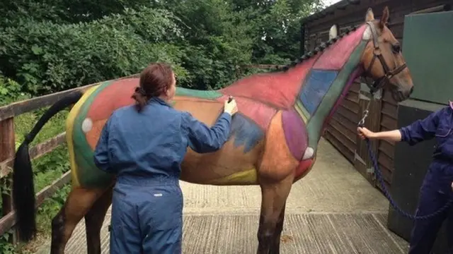 Newmarket horse anatomy project