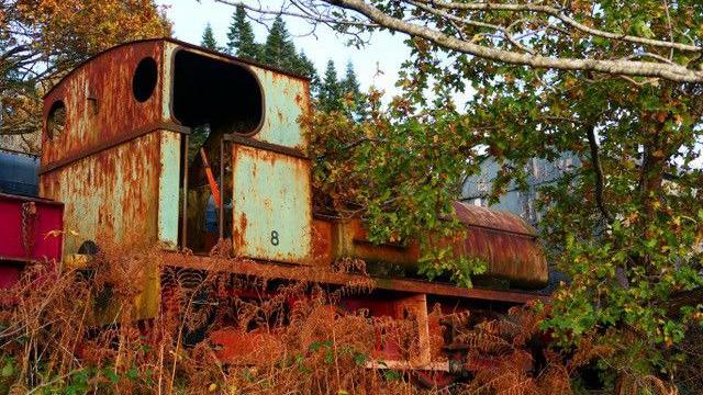 A disused railway locomotive sits among foliage. The train is light green in colour, but sections are badly rusted and are now orange and brown. The back panel and sides are a mixture of the two colours. The front of the train is partially covered by green leaves from a tree. There are brown plants growing up the side of the train.