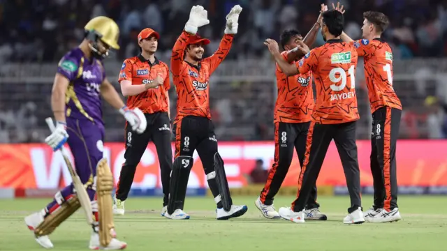 Sunrisers Hyderabad celebrate wicket