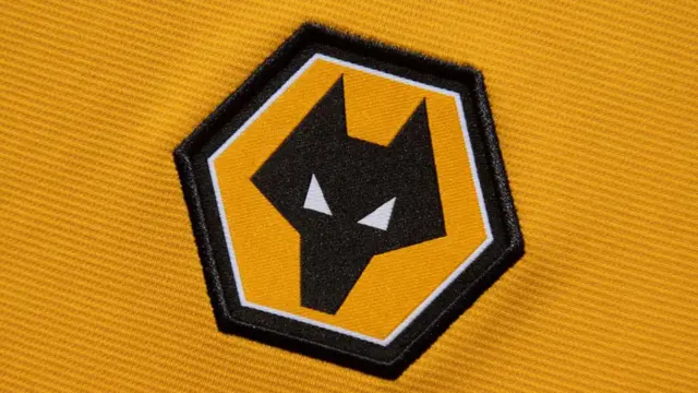 Wolves badge